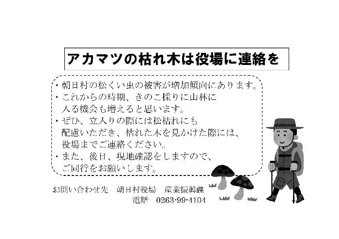 アカマツの枯れ木は役場に連絡を