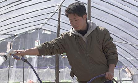 ビニールハウスの中で男性を撮影した写真。男性は茶色の上着を身につけ、ホースを持って放水作業を行っている。