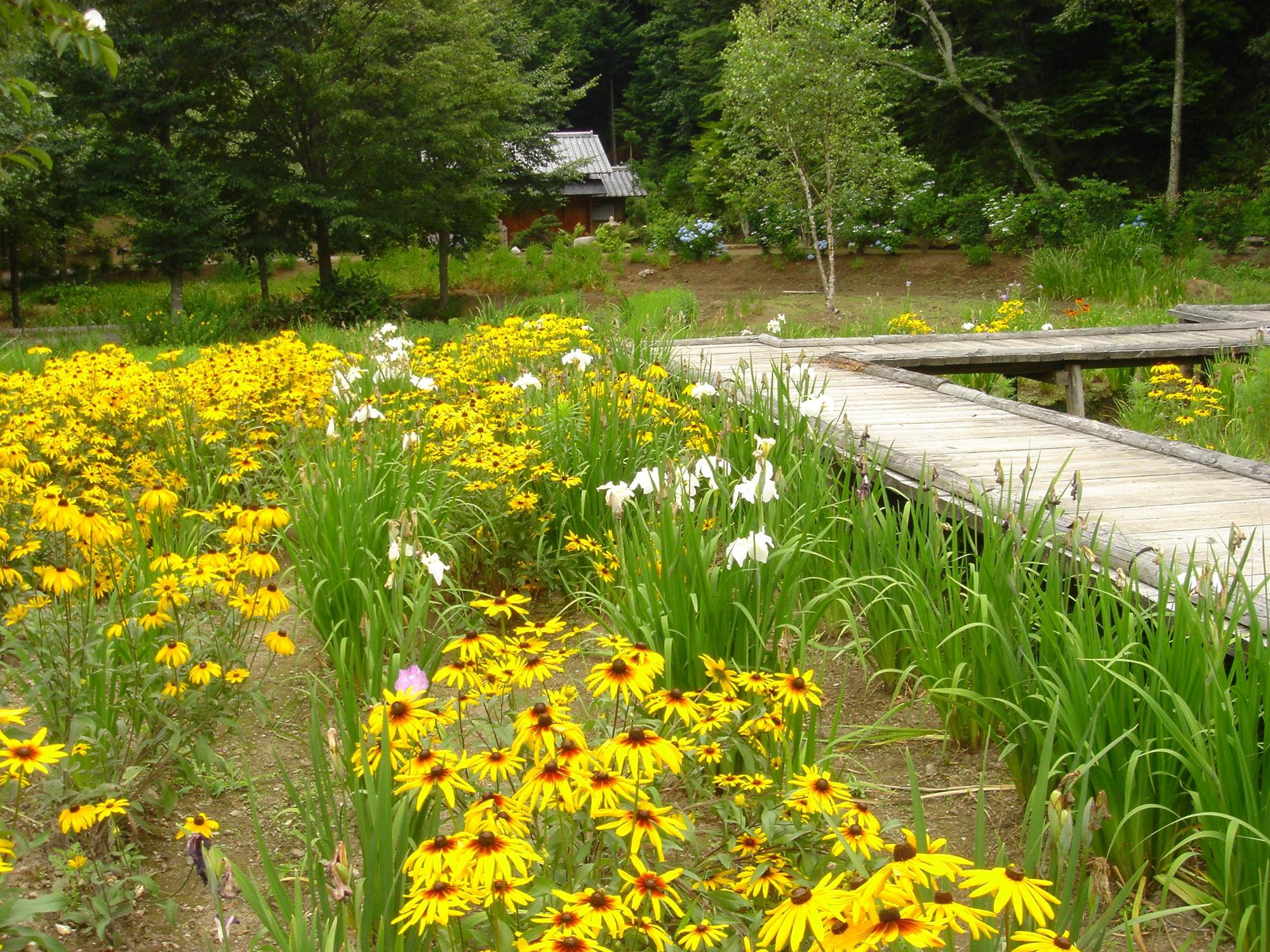 武居城公園の写真2