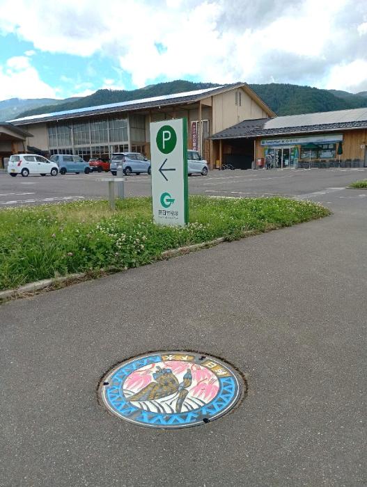 朝日村カラーマンホール展示1